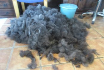 Hundesalon alt for hunden - før og efter Balso