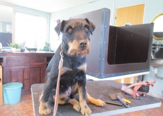 Hundesalon alt for hunden - Tikka
